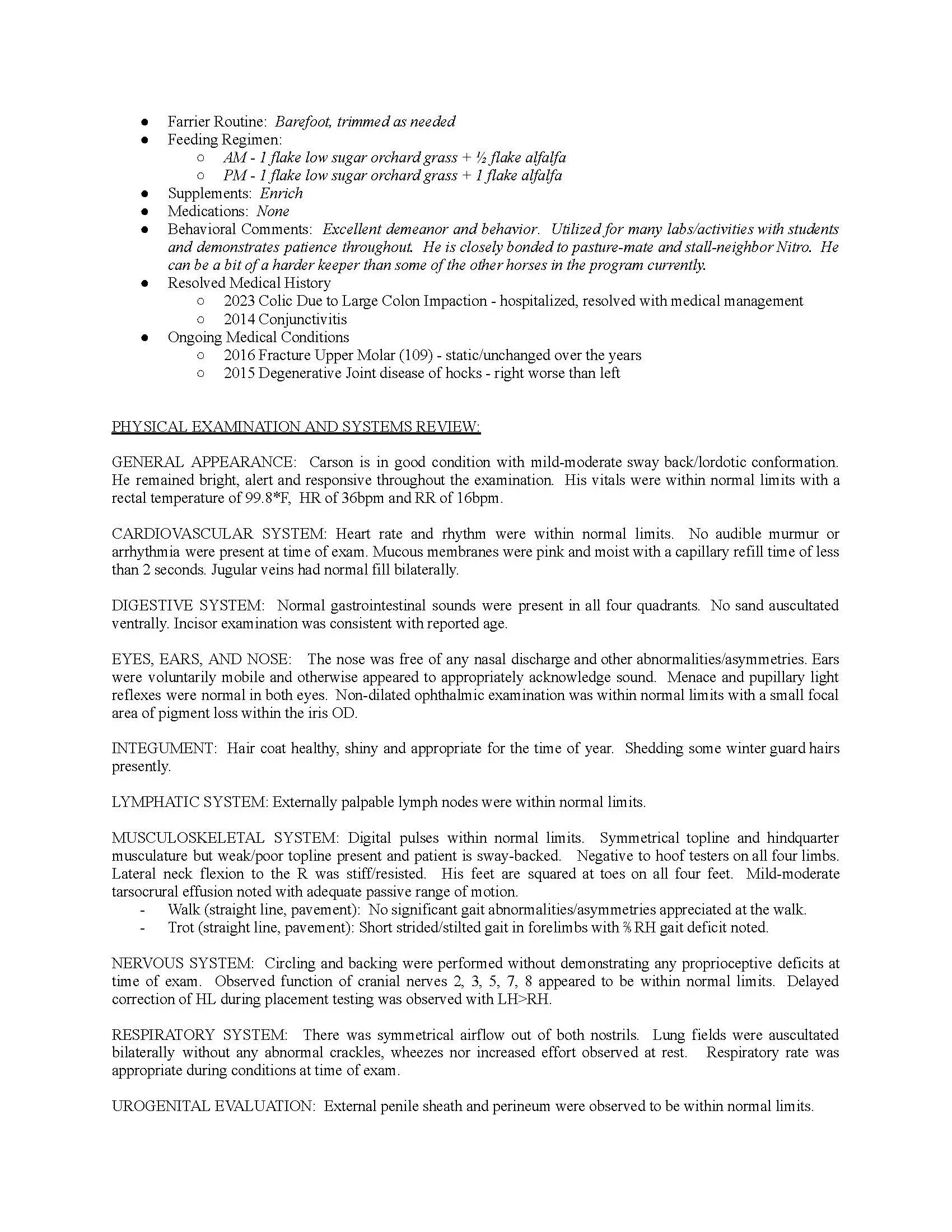 Page 2 horse description